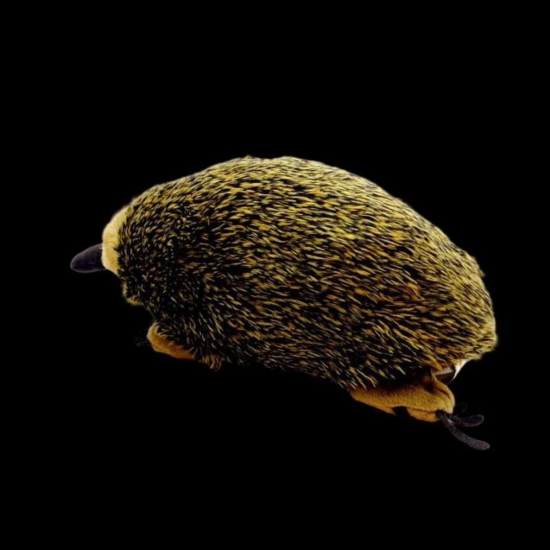 Echidna Soft Stuffed Plush Toy