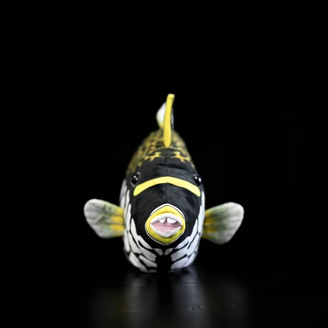 Clown Triggerfish Soft Stuffed Plush Toy