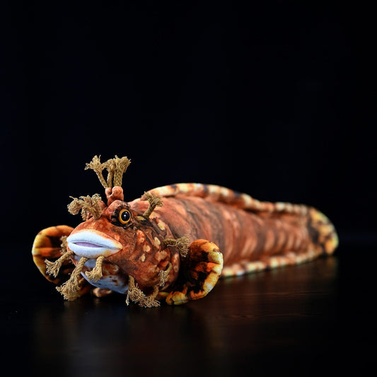 Japanese Warbonnet Fish Soft Stuffed Plush Toy