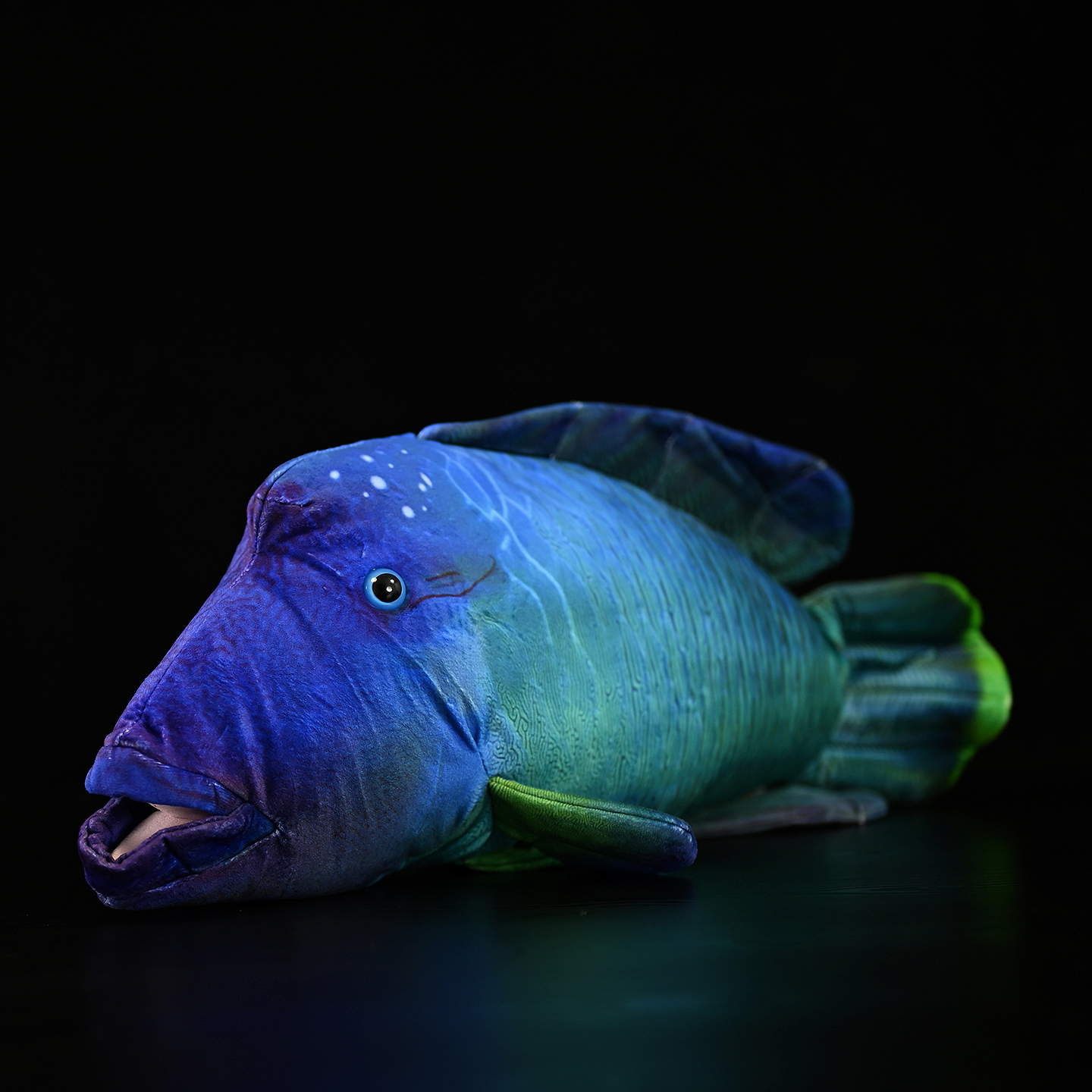 Humphead Wrasse Soft Stuffed Plush Toy