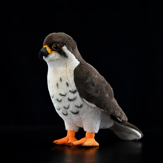 Peregrine Falcon Bird Stuffed Plush Toy
