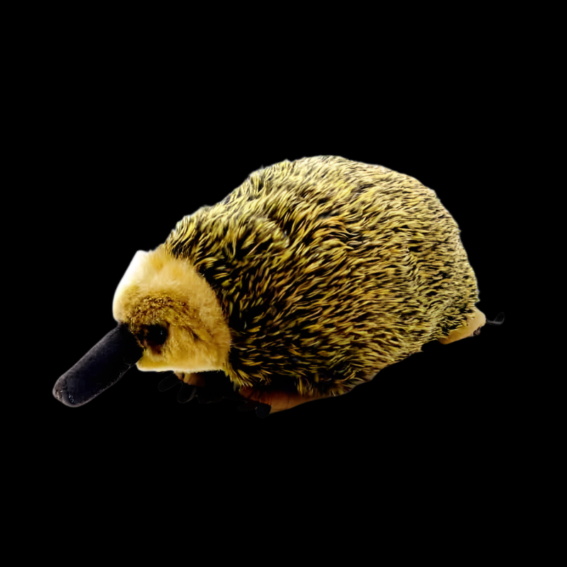 Echidna Soft Stuffed Plush Toy