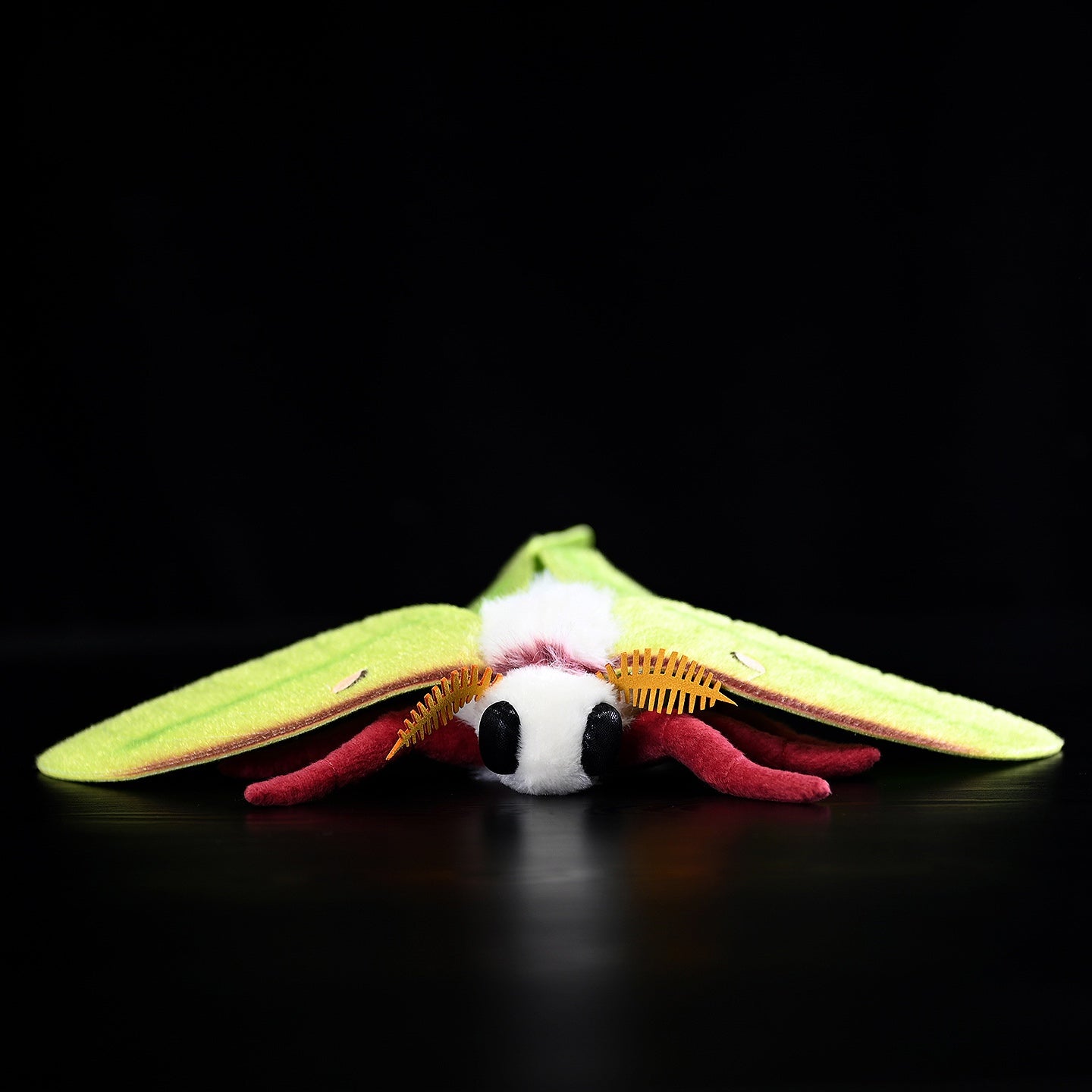 Indian Moon Moth Soft Stuffed Plush Toy