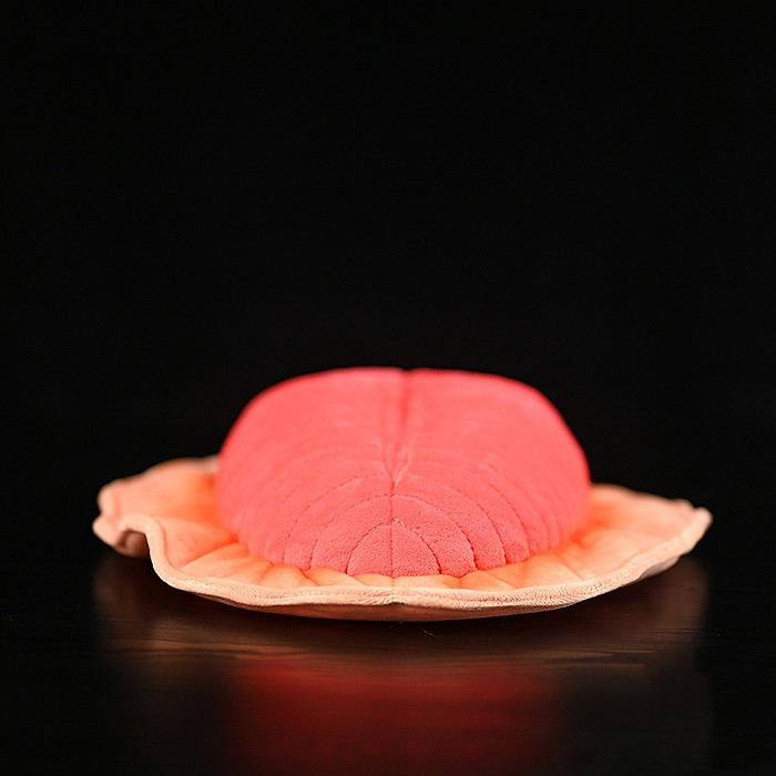 Dickinsonia Fossil Soft Stuffed Plush Toy