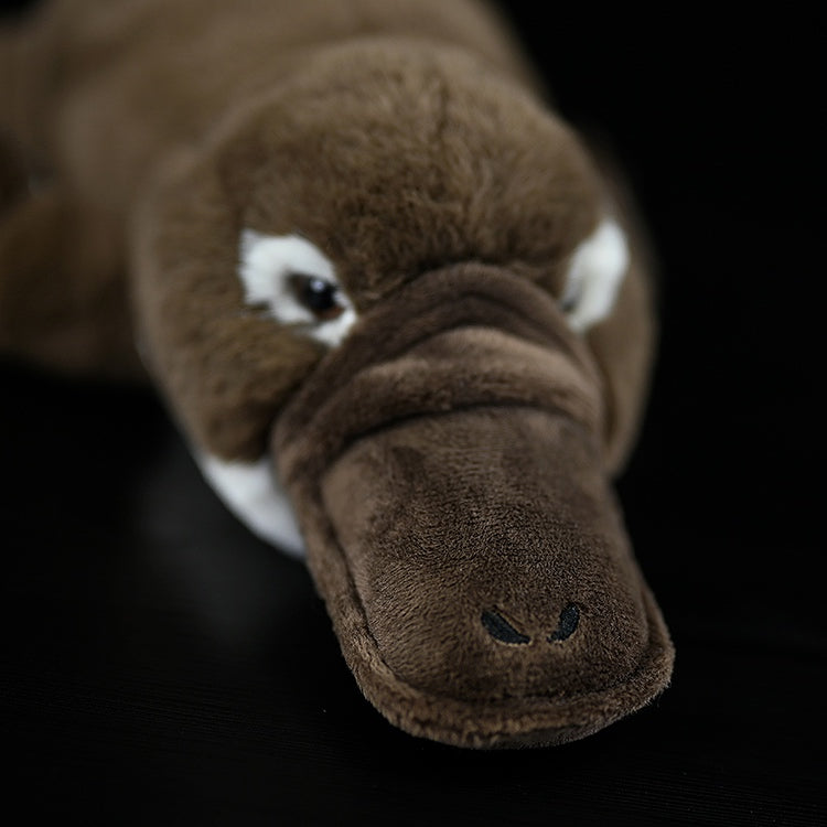 Duckbill Platypus Soft Stuffed Plush Toy