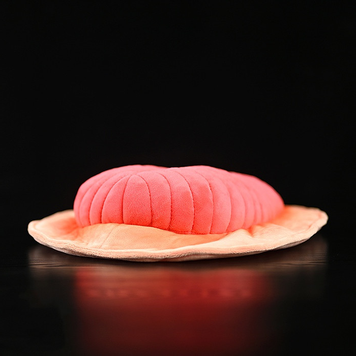 Dickinsonia Fossil Soft Stuffed Plush Toy