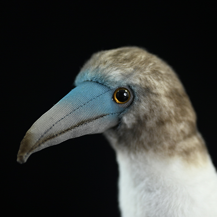 Blue-footed Booby Bird Soft Stuffed Plush Toy