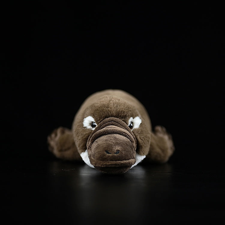 Duckbill Platypus Soft Stuffed Plush Toy