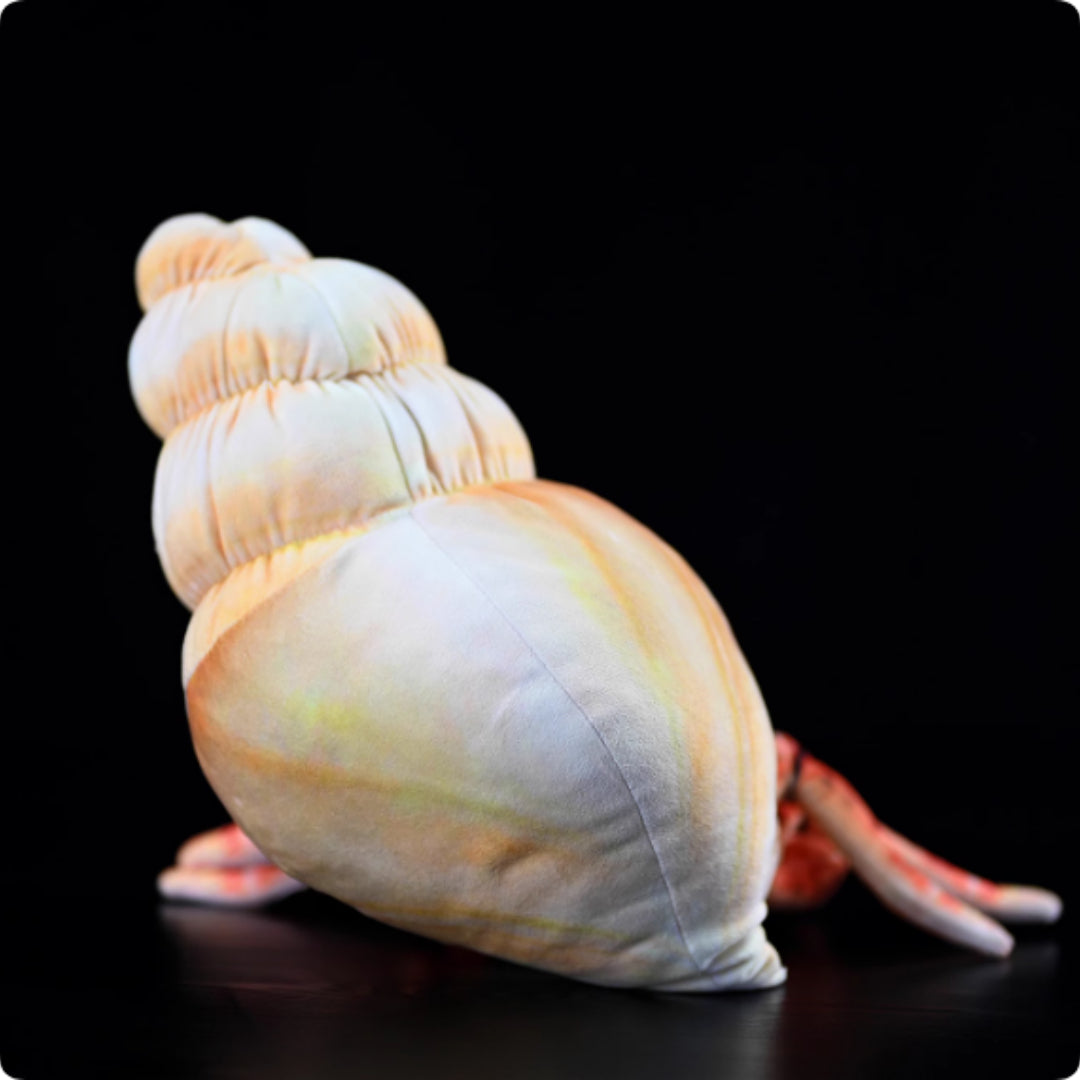 Hermit Crab Soft Stuffed Plush Toy