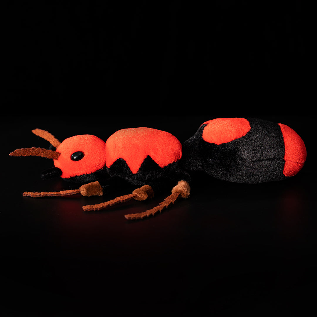 Red Velvet Ant Stuffed Plush Toy