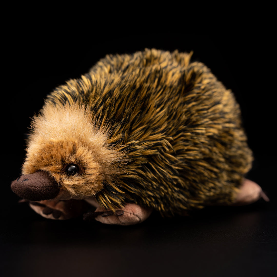 Weiches Plüschtier Echidna