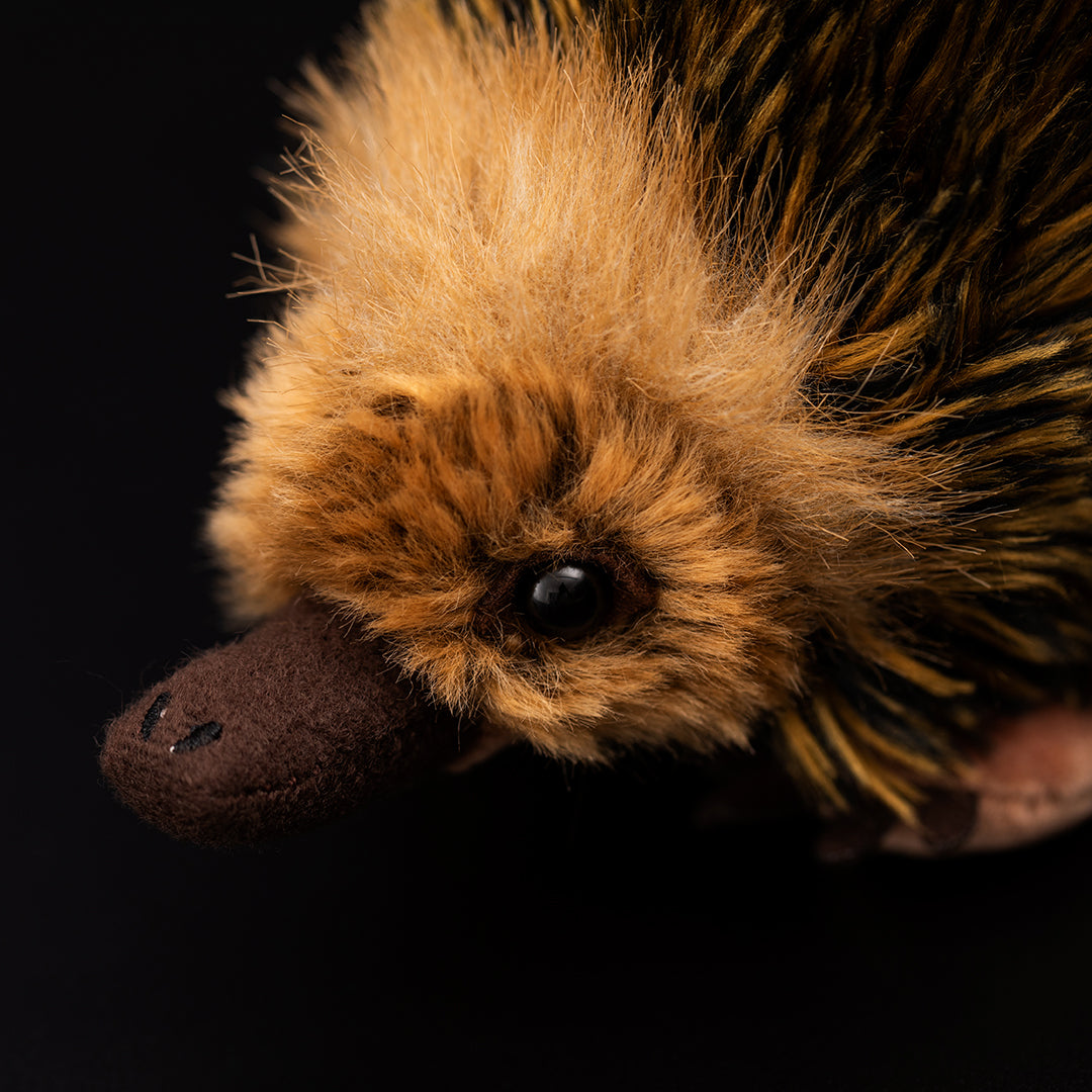 Weiches Plüschtier Echidna
