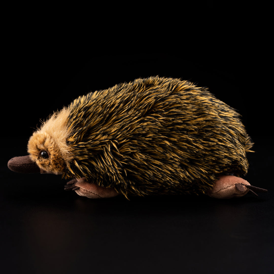 Weiches Plüschtier Echidna