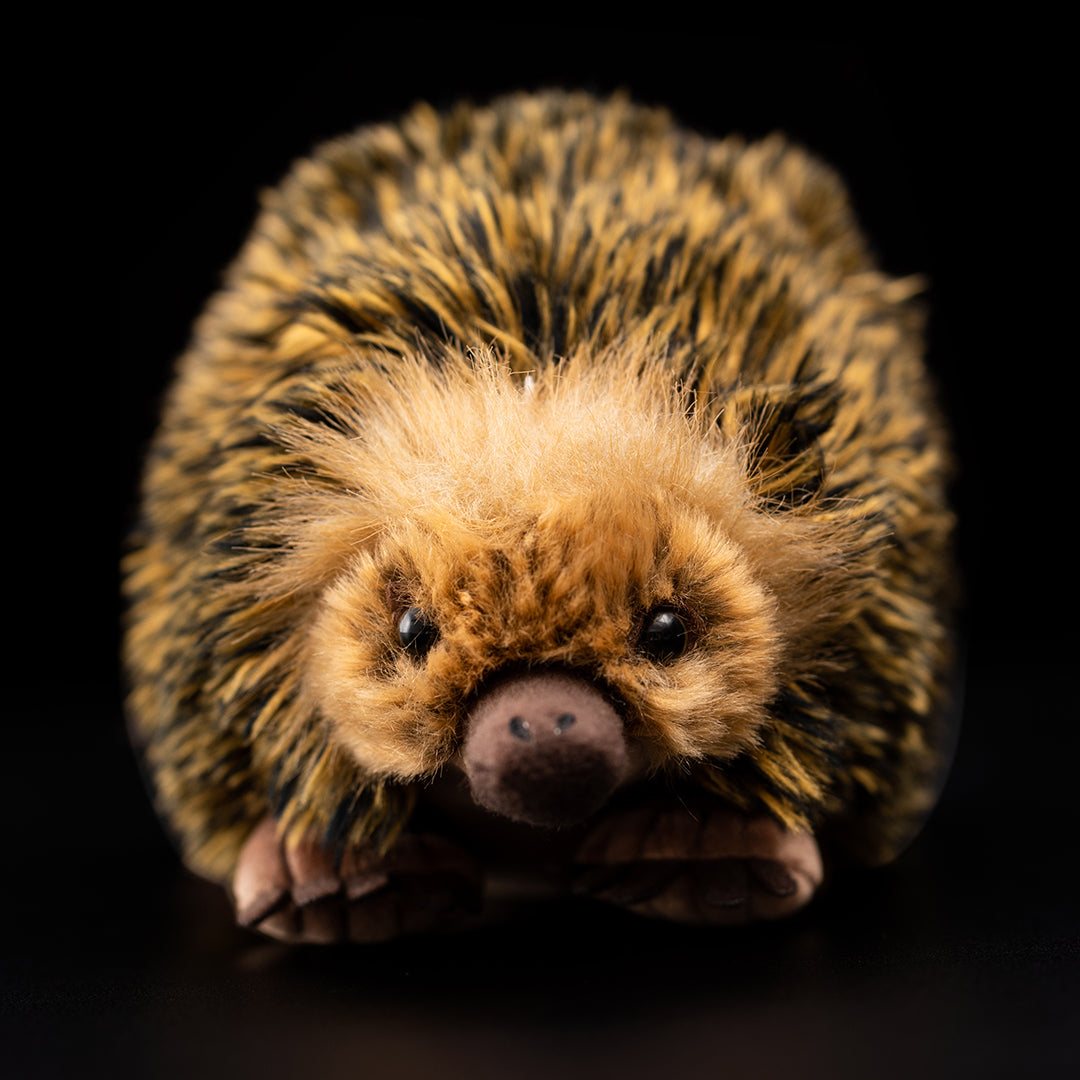 Weiches Plüschtier Echidna