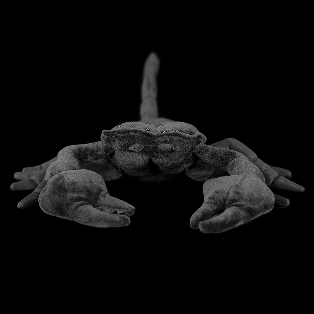 Kaiserskorpion, weiches Plüschtier