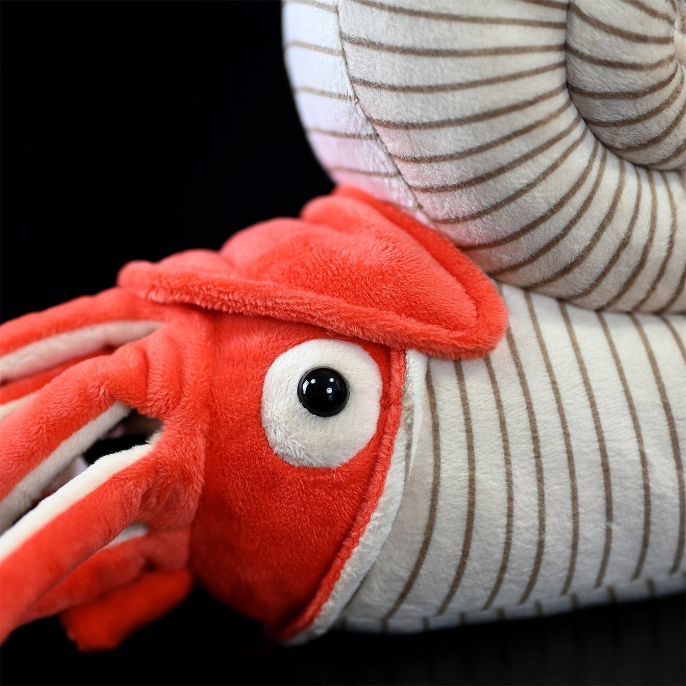 Ammonite Soft Stuffed Plush Toy