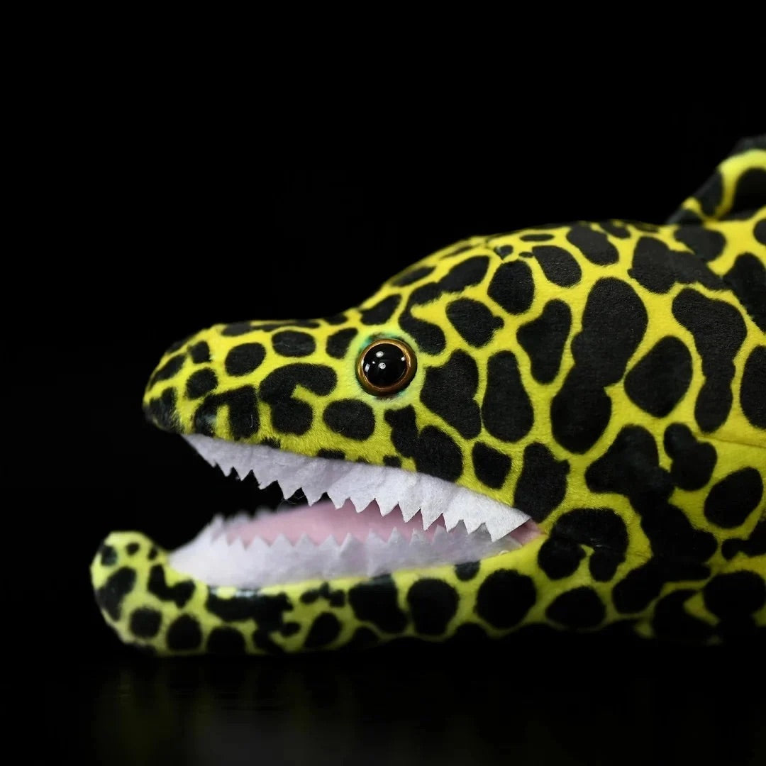 Honeycomb Moray Eel Soft Stuffed Plush Toy
