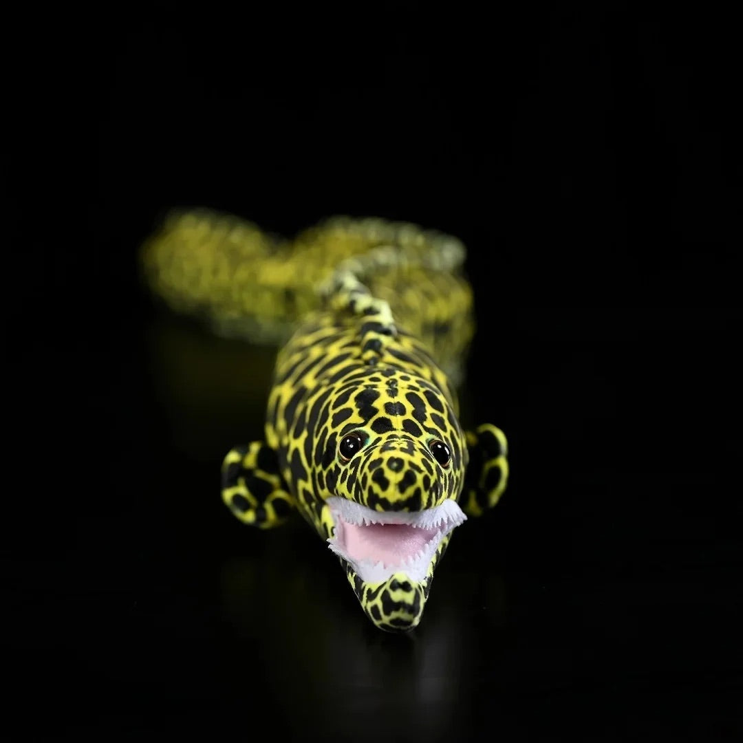 Honeycomb Moray Eel Soft Stuffed Plush Toy