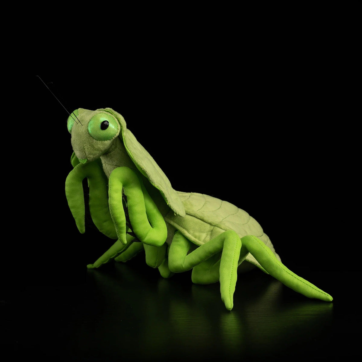 Weiches Plüschtier Shield Mantis