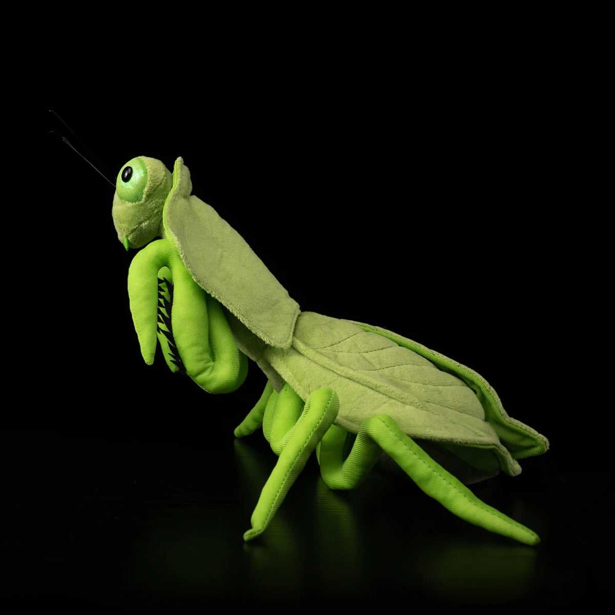 Weiches Plüschtier Shield Mantis