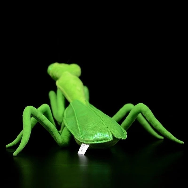 Green Chinese Mantis Soft Stuffed Plush Toy