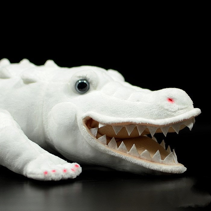 Albino Alligator Soft Stuffed Plush Toy