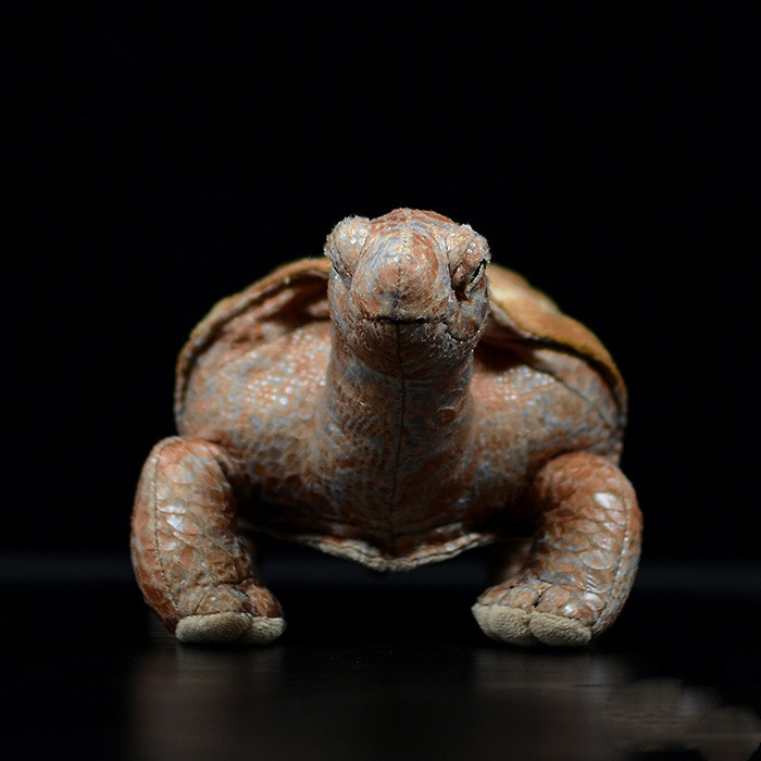 Galapagos Tortoise Soft Stuffed Plush Toy