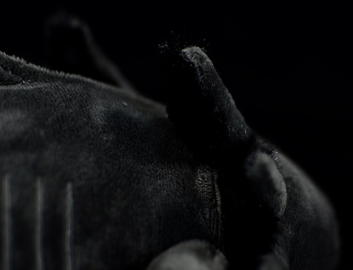 Black Axolotl Soft Stuffed Plush Toy