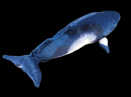Minke Whale Soft Stuffed Plush Toy